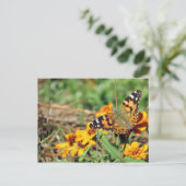 Gemalte Lady Butterfly auf Zinnia Postcard Postkarte (Stehend Vorderseite)