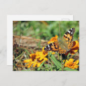 Gemalte Lady Butterfly auf Zinnia Postcard Postkarte (Vorne/Hinten)