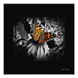 Gemalte Lady Butterfly SC Art Print Fotodruck