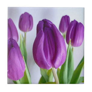 Gemalte lila Tulpen Fliese