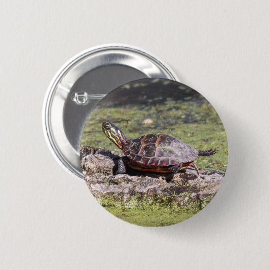 Gemalte Ostschildkröte Button (Vorne & Hinten)