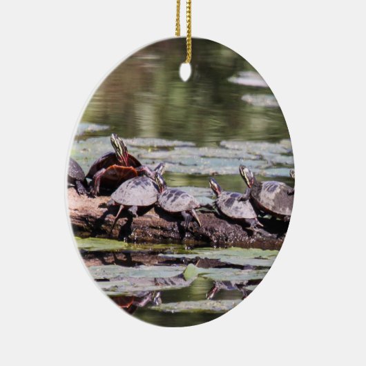 Gemalte Ostschildkröte Keramikornament (Rechts)