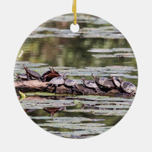 Gemalte Ostschildkröte Keramikornament (Hinten)