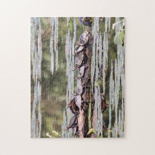 Gemalte Ostschildkröte Puzzle (Vertikal)