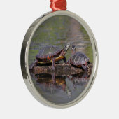 Gemalte Ostschildkröten Silbernes Ornament (Rechts)