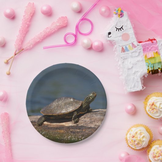 Gemalte Schildkröte auf einem Klotz Pappteller (Party)