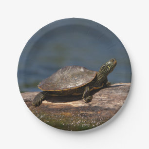 Gemalte Schildkröte auf einem Klotz Pappteller