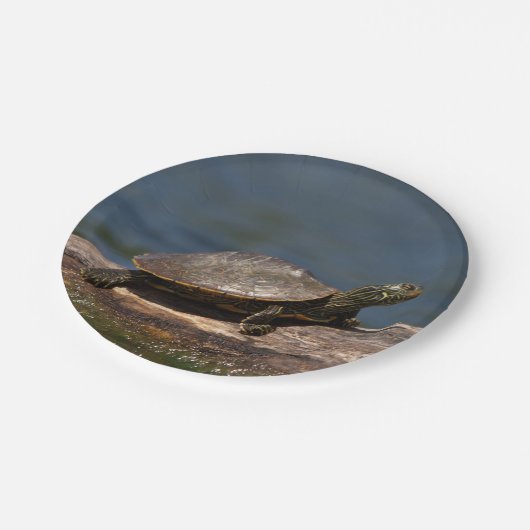 Gemalte Schildkröte auf einem Klotz Pappteller (Schrägansicht)