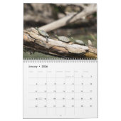 Gemalte Schildkröten 2026 Kalender (Jan 2026)