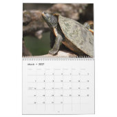 Gemalte Schildkröten 2026 Kalender (Mär 2027)