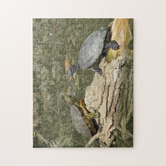 Gemalte Schildkröten Puzzle (Vertikal)