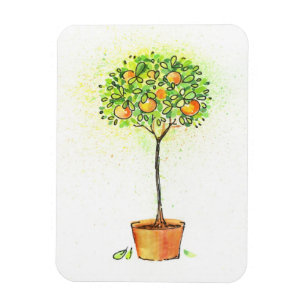 Gemalter Aquarellzitrusfruchtbaum im Topf Magnet