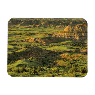 Gemalter Canyon nach Sturm in Theodore Roosevelt Magnet