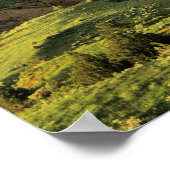 Gemalter Canyon nach Sturm in Theodore Roosevelt Poster (Ecke)