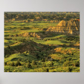 Gemalter Canyon nach Sturm in Theodore Roosevelt Poster (Vorne)