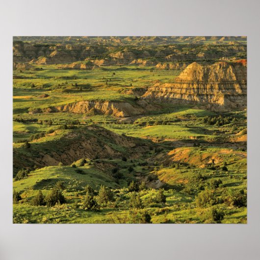 Gemalter Canyon nach Sturm in Theodore Roosevelt Poster (Vorne)