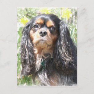 Gemalter Cavalier King Charles Spaniel Postkarte