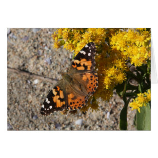 Gemalter Damenschmetterling