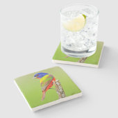 Gemalter Mann der Flaggen-(Passerina ciris) hockte Steinuntersetzer (Seitenansicht)