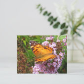 Gemalter Schmetterling ~ Postkarte (Stehend Vorderseite)