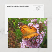Gemalter Schmetterling ~ Postkarte (Vorne/Hinten)