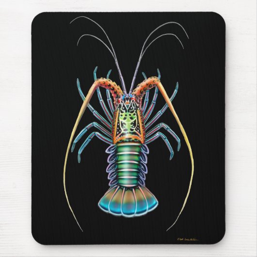 Gemalter stacheliger Hummer Mousepad (Vorne)