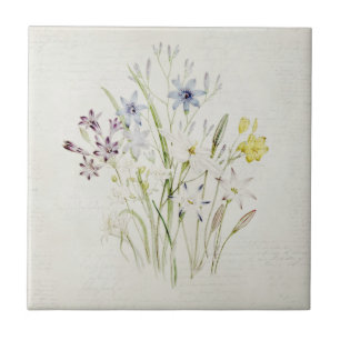 Gemaltes Conanthera Blumen-Blumenstrauß-Vintages Fliese