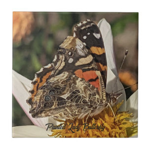 Gemaltes Damenfalter-Naturfoto Fliese
