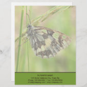 Gemarmorter weißer Schmetterling auf Gras Briefbogen (Vorne/Hinten)