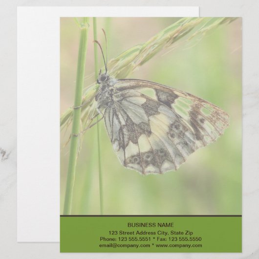 Gemarmorter weißer Schmetterling auf Gras Briefbogen (Vorne/Hinten)