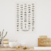 Gemäßigte Meeresfische - Naturalist's Library Poster (Küche)