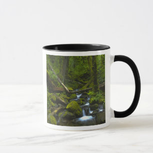 Gemäßigter Regenwaldstrom im Columbia River Tasse