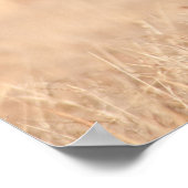 Gemeine Bildverarbeitungssoftware Poster (Ecke)