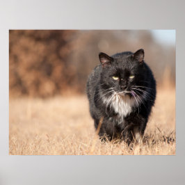 Gemeine Bildverarbeitungssoftware Poster