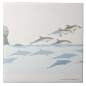 Gemeine Delphine Fliese (Vorderseite)