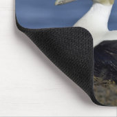 Gemeine Eiderenten Mousepad (Ecke)