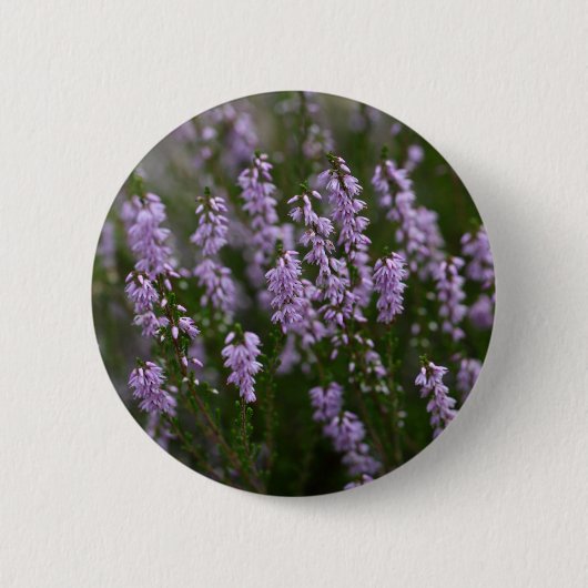 Gemeine Heide (Calluna gemein) Button (Vorderseite)