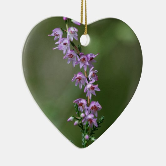 Gemeine Heide (Calluna gemein) Keramikornament (Rechts)