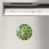 Gemeine Heidelibelle Magnet (In Situ (Geschirrspüler))
