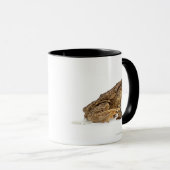 Gemeine Kröte oder europäische Kröte (Bufo bufo) Tasse (VorderseiteRechts)
