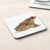 Gemeine Kröte oder europäische Kröte (Bufo bufo) Untersetzer (Linke Seite)