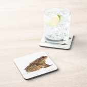 Gemeine Kröte oder europäische Kröte (Bufo bufo) Untersetzer (Rechte Seite)