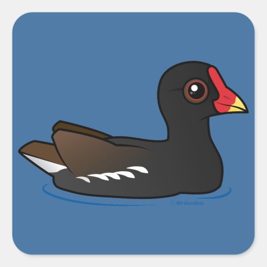 Gemeine Moorhen Quadratischer Aufkleber (Vorderseite)