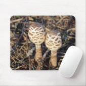 Gemeine Parasolpilze Mousepad (Mit Mouse)