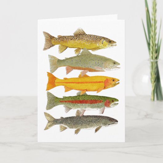 Gemeine Pennsylvania-Forelle Karte (Vorderseite)