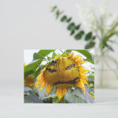 Gemeine Sonnenblume Postkarte (Stehend Vorderseite)