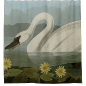 Gemeiner Amerikaner - Audubons Vögel Amerikas Duschvorhang (Vorderseite)