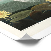 Gemeiner Amerikaner von Audubon Poster (Ecke)