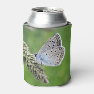 Gemeiner Blauer Schmetterling auf Gras Dosenkühler