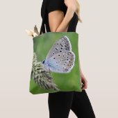Gemeiner Blauer Schmetterling auf Gras Tasche (Von Nahem)